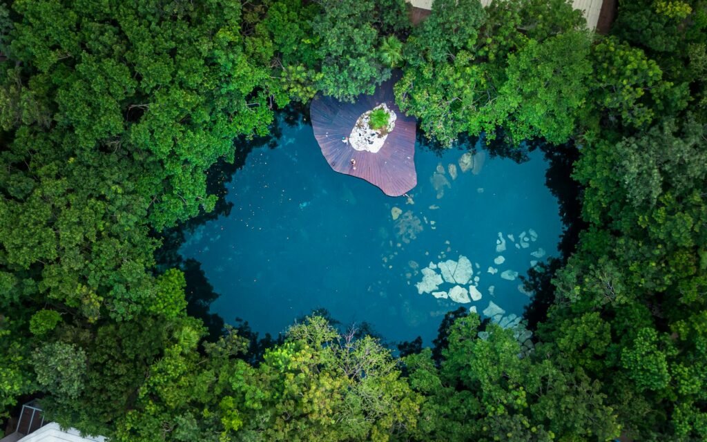 Stunning aerial photo of a cenote surrounded by lush forest in Playa del Carmen, Mexico.